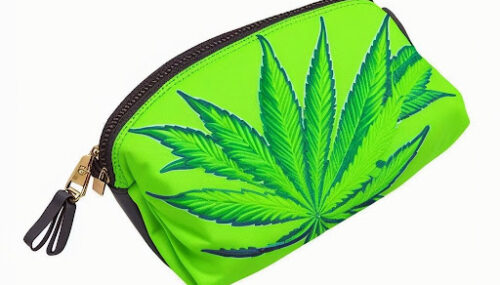 Benefits of Using Ecofriendly Pouches for Cannabis